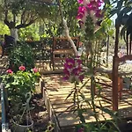 Motell Holiwood Himare
