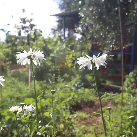 Holiwood Мотель