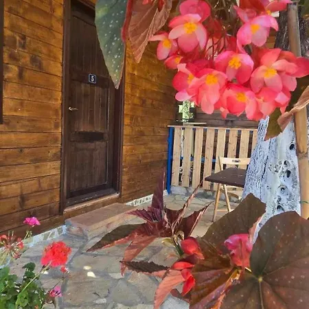 Мотель Holiwood *