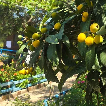 Holiwood Мотель Химара