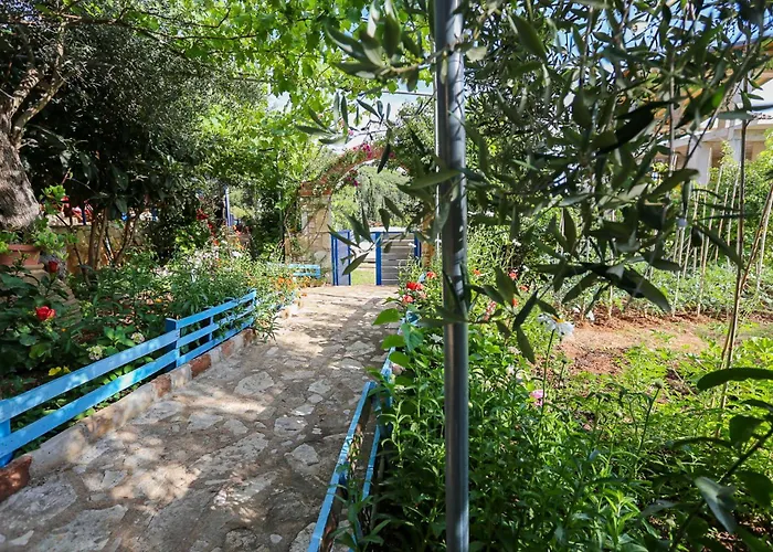 Holiwood * Himarë