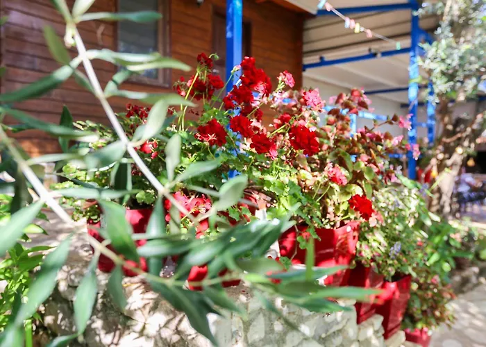 Holiwood Motel Himarë