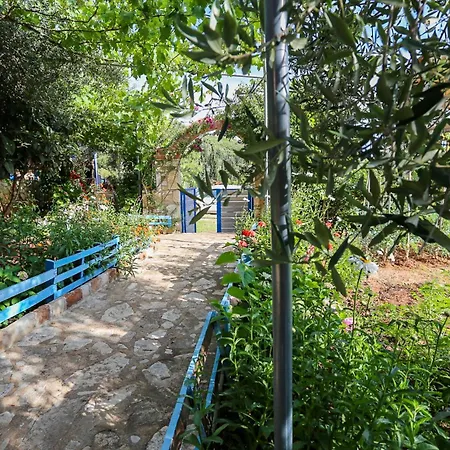 Holiwood * Himare