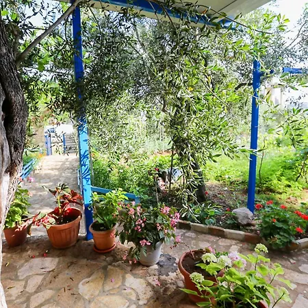 Motel Holiwood Himara