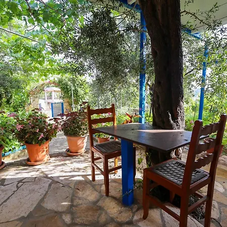 Holiwood Himare