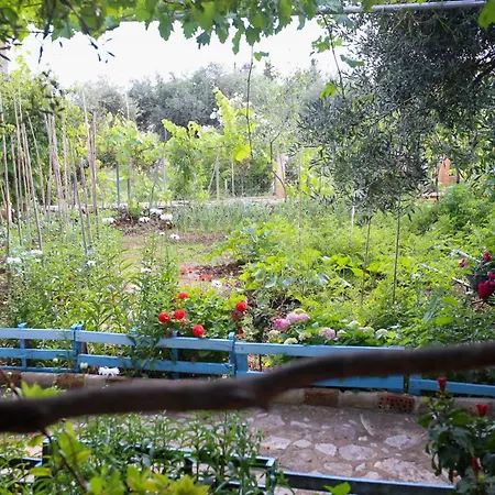 Μοτέλ Holiwood *