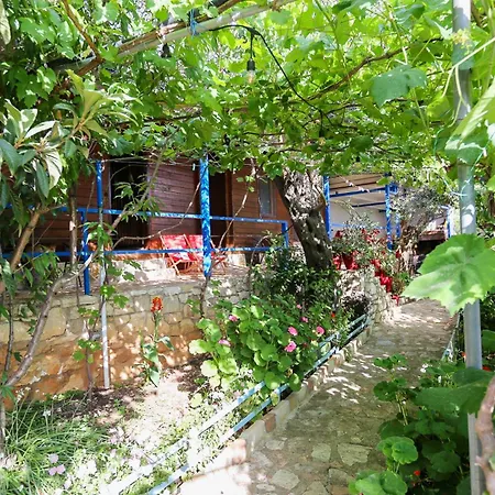 Holiwood Himare