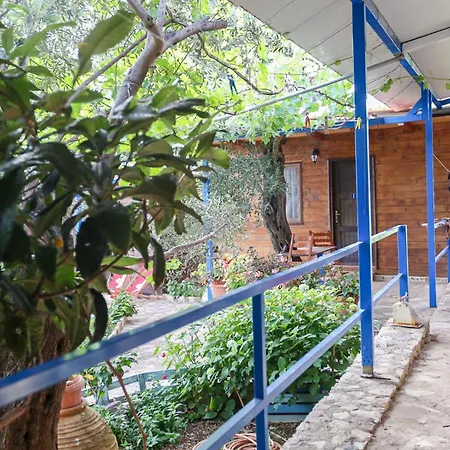 Holiwood * Himare