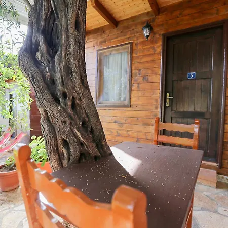 Holiwood Himare