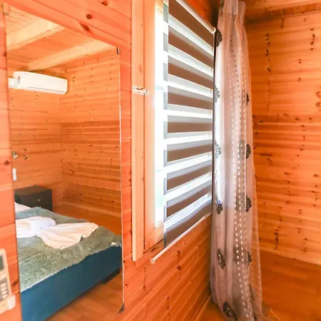 Holiwood * Himare
