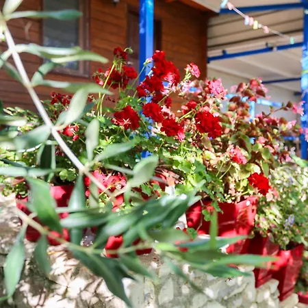 Holiwood Motel Himara