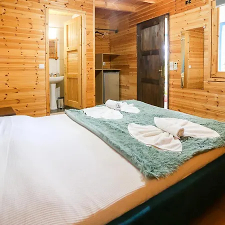 Holiwood Himare
