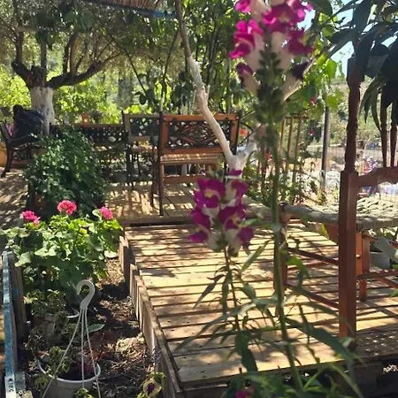 Motel Holiwood Himare