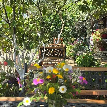 Holiwood Himare
