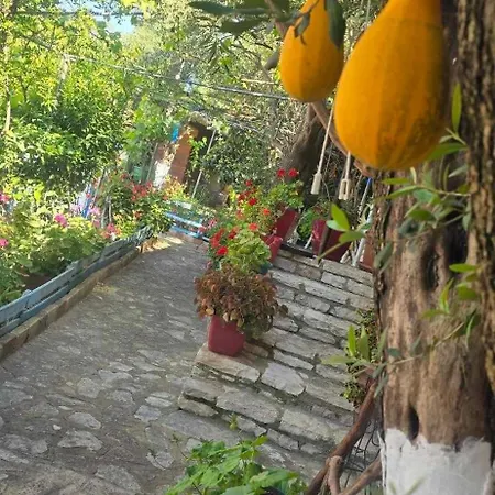 Holiwood Μοτέλ