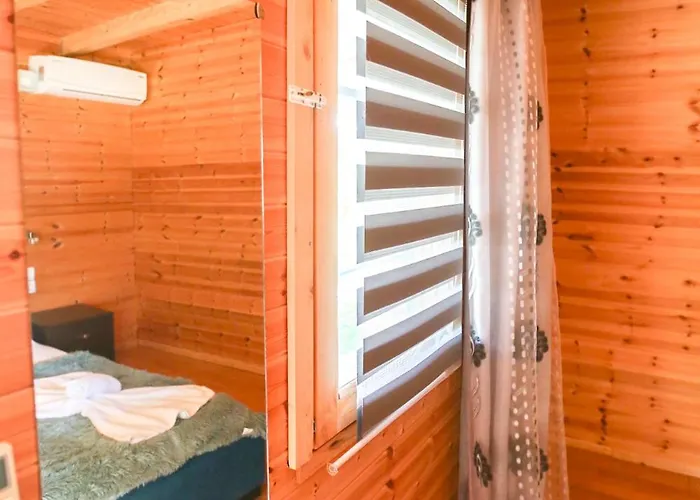 Holiwood * Himare